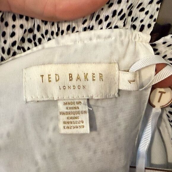 NWT Ted Baker Phenia Long Sleeve High Collar Flocked Spot Mini Dress Sz 1 (4US) - Picture 6 of 12